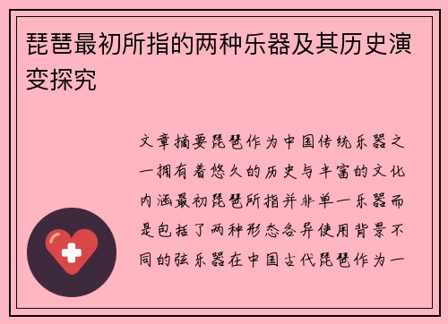 琵琶最初所指的两种乐器及其历史演变探究